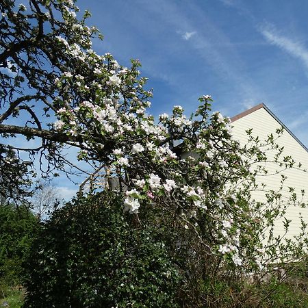 Au Val Des Meuris Bed & Breakfast Taintrux Exterior photo
